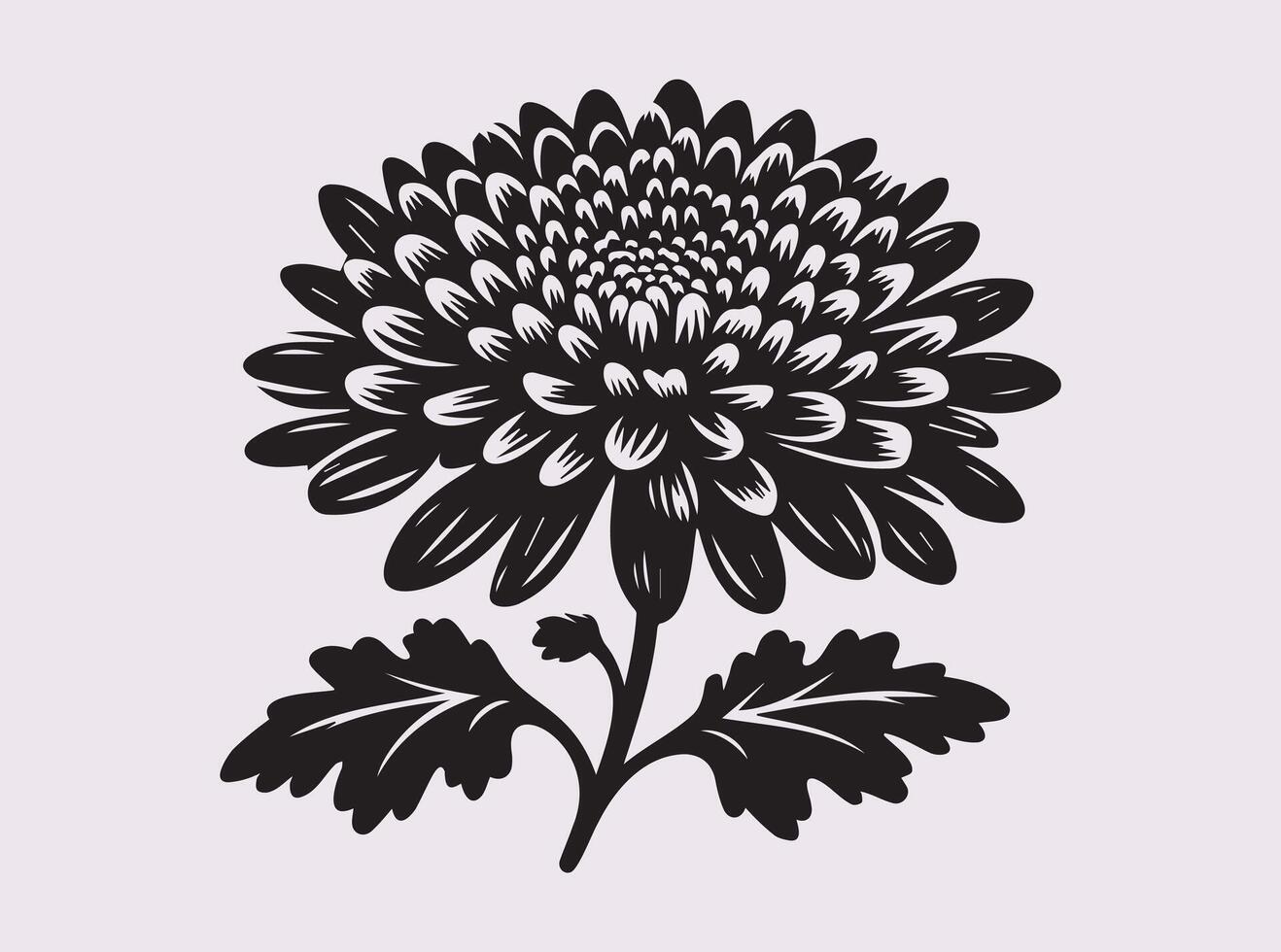 Hand-Drawn Chrysanthemums Silhouette for Artistic and Creative Uses vector