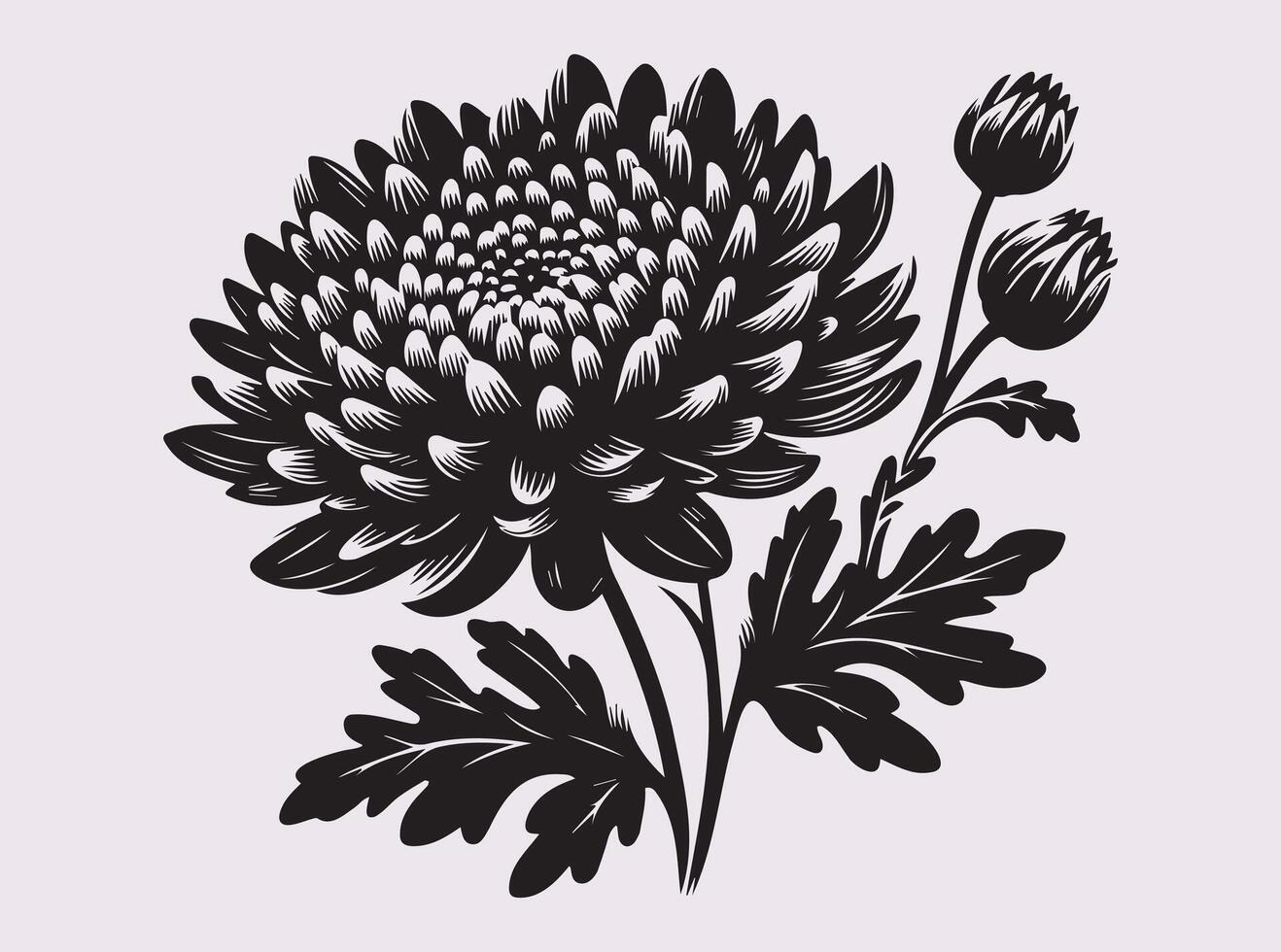 Perfect Chrysanthemums Silhouette for Tattoos, Stickers, and Wall Art vector