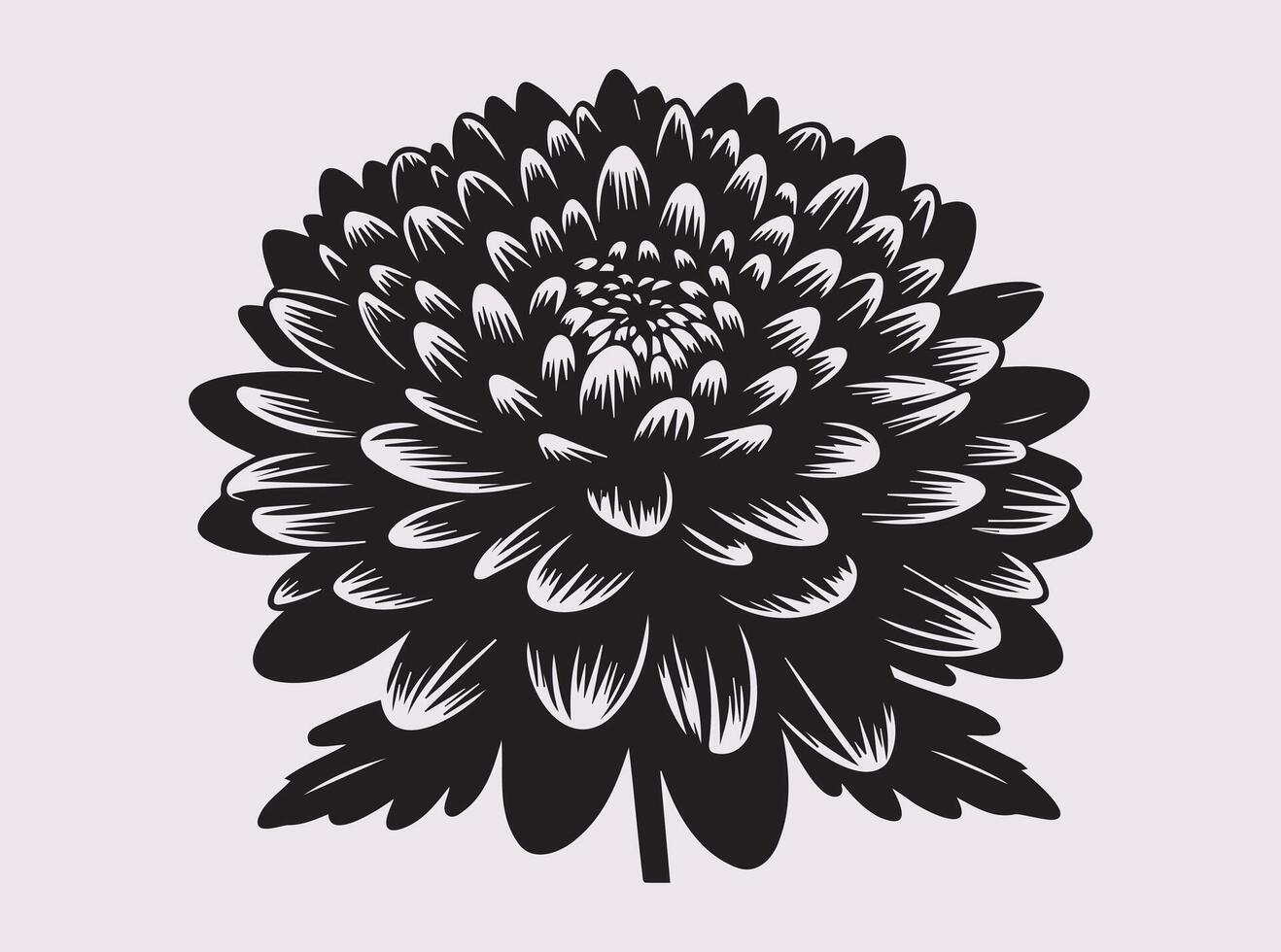 Beautifully Crafted Chrysanthemums Silhouette for Artistic Creations vector