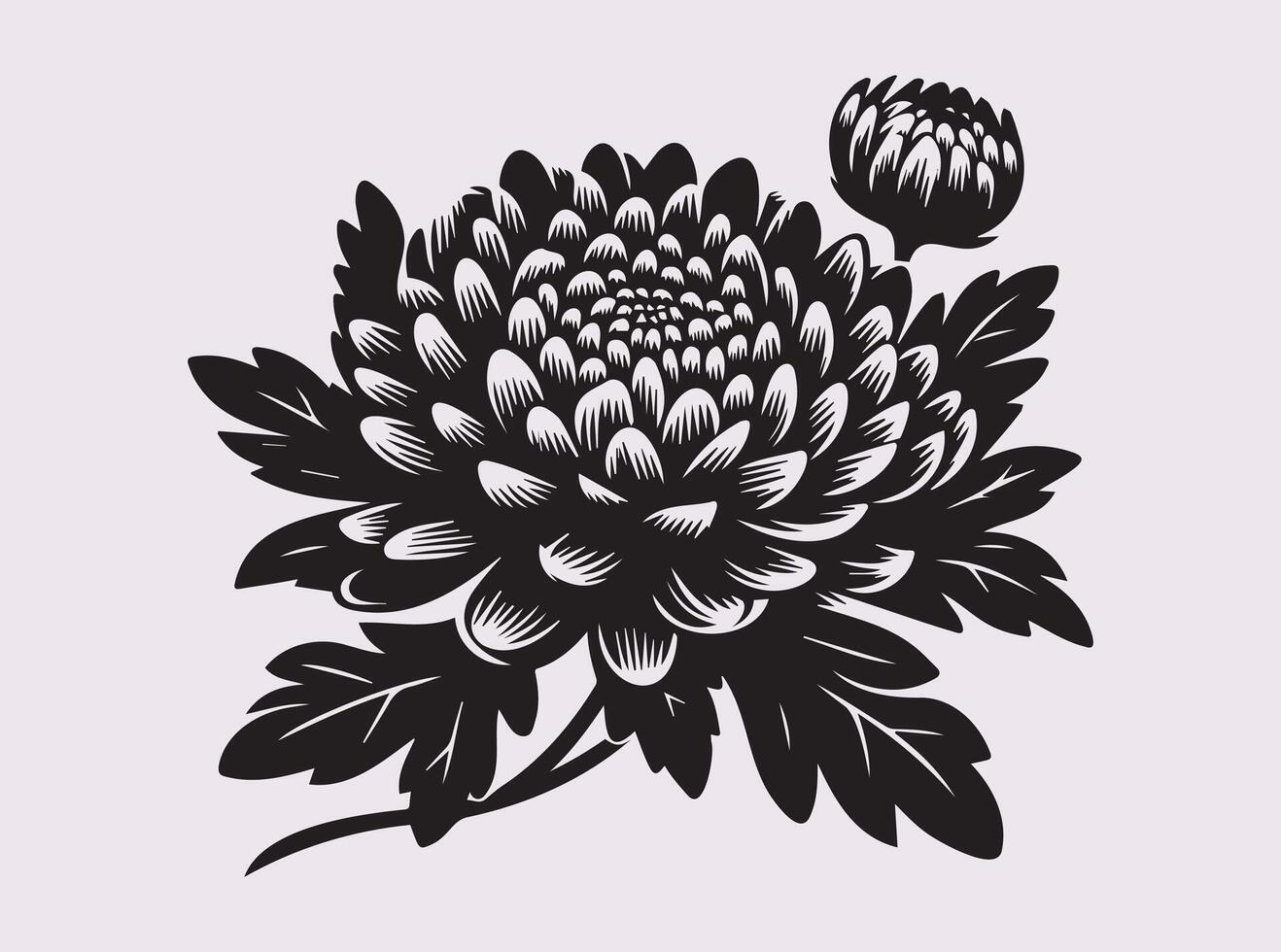 Stunning Chrysanthemums Silhouette for Invitations and Greeting Cards vector