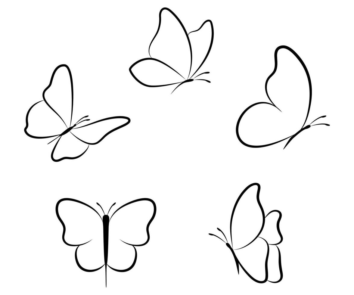 Linear butterfly outline collection hand drawn illustration isolated on white vector