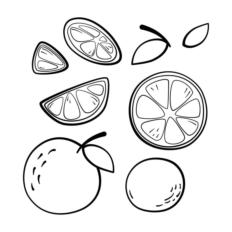 Eight elements Orange outline set. Doodle hand drawn cartoon style. illustration for decorate and any design. vector