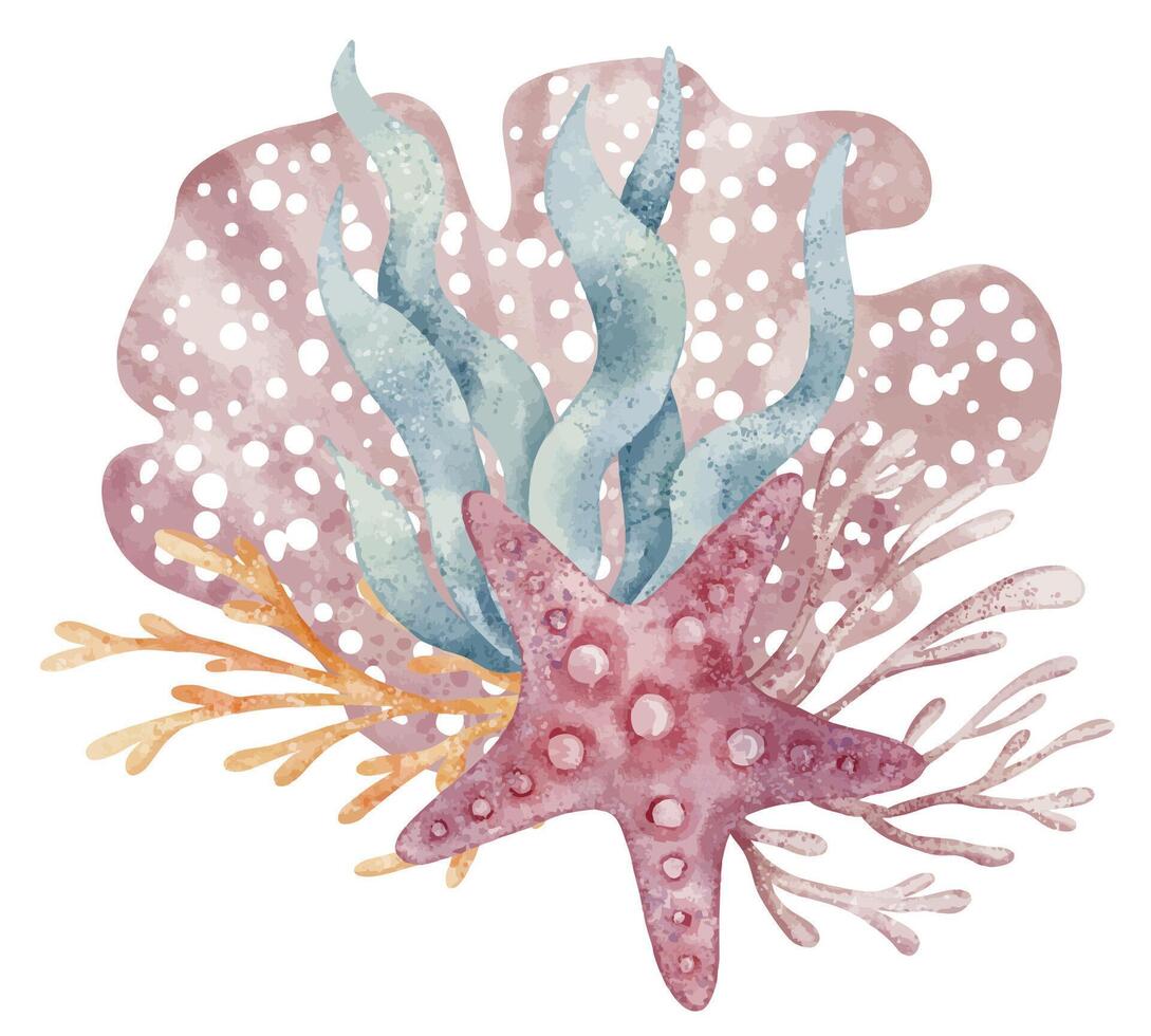 Watercolor illustration of Starfish, seaweed and coral with bubbles. Drawing of underwater reef and seashell for Baby shower invitations or childish greeting cards. Art of nautical elements. vector