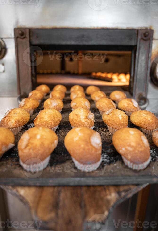 Some cupcakes tray freshly baked are being pulled from a stone oven with wooden shovel photo