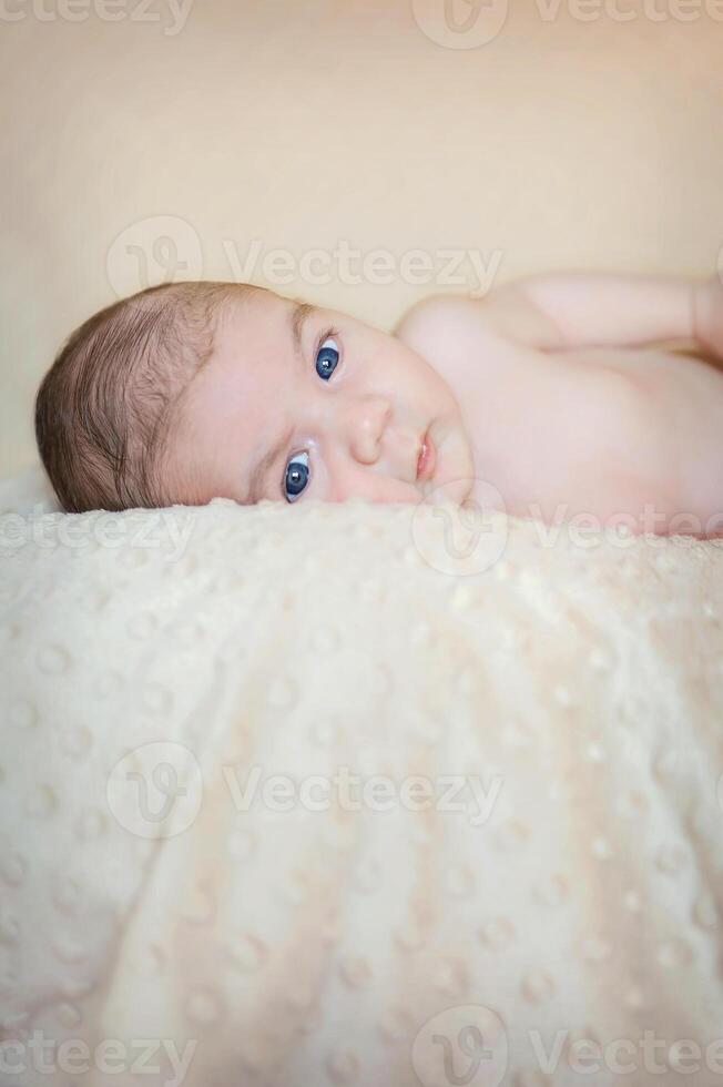 Portrait of newborn baby lying down over a blanket photo