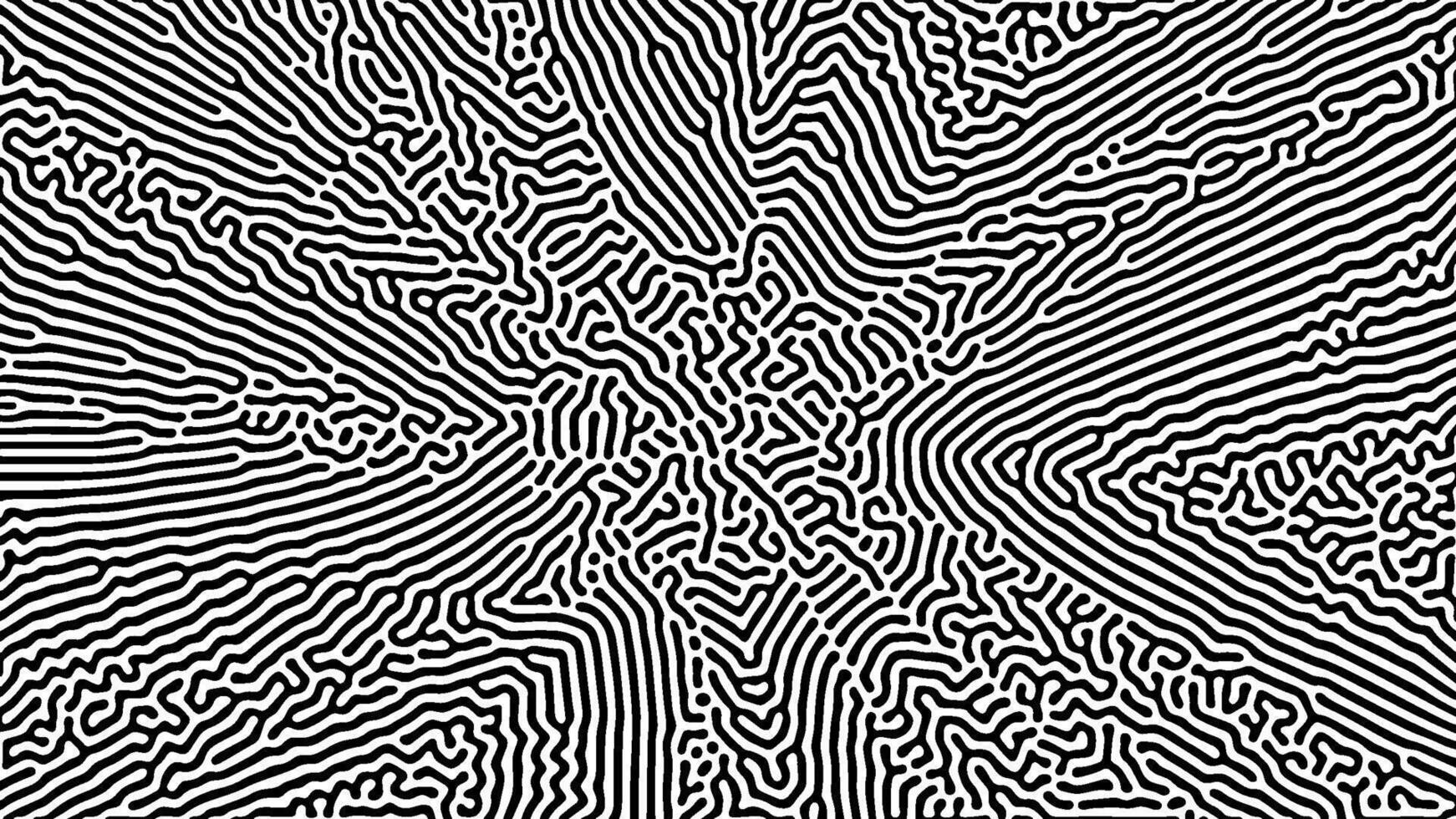 Dense abstract pattern with black flowing lines vector