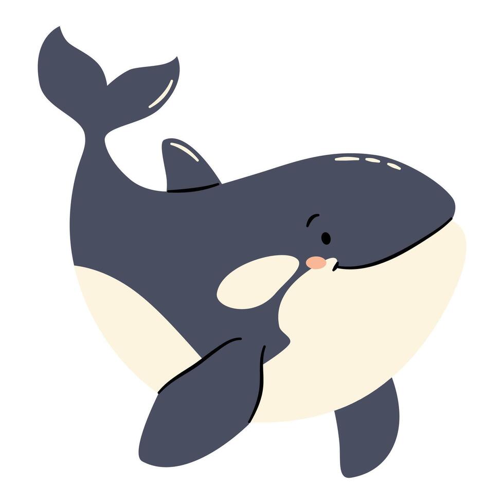 Flat illustration in a simple children's style. Animals of the north pole. Cute killer whale on white background vector