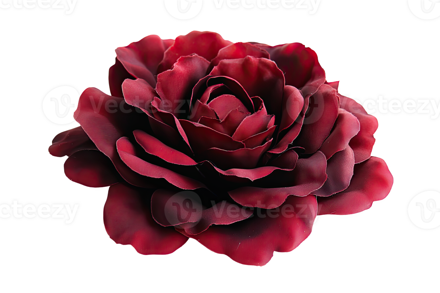 Luxurious red rose , showcasing intricate petals and vibrant color. png
