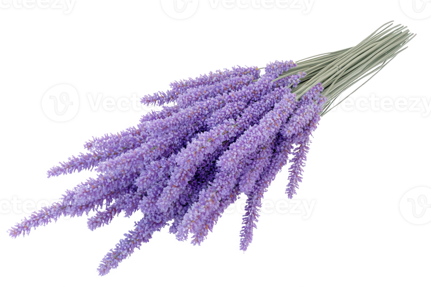 A beautiful bunch of purple flowers with delicate petals png