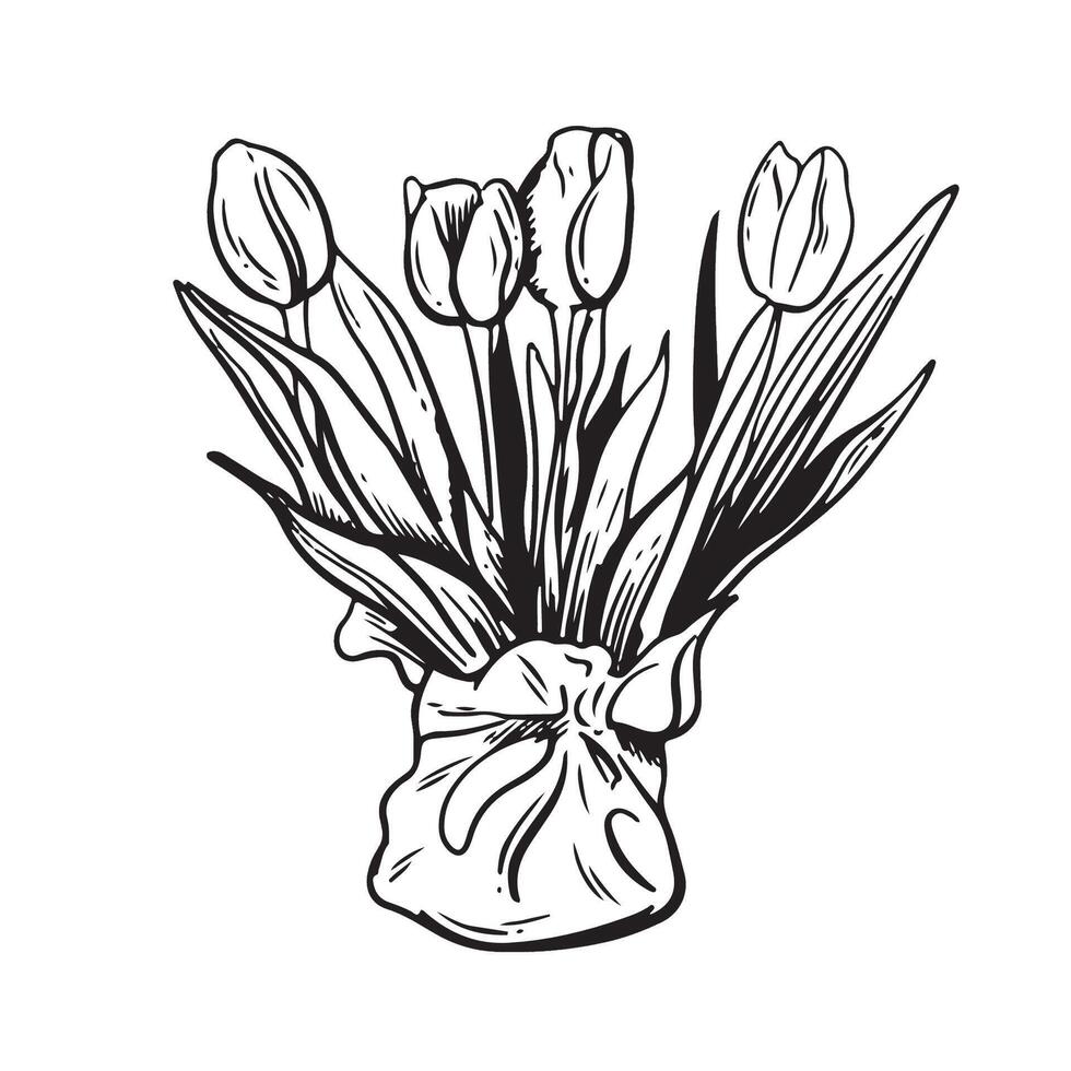 Beautiful flower arrangement with tulips in a simple vase showcasing natural elegance and charm. Sketch hand drawn illustration. Engraving, outline, ink drawing vector