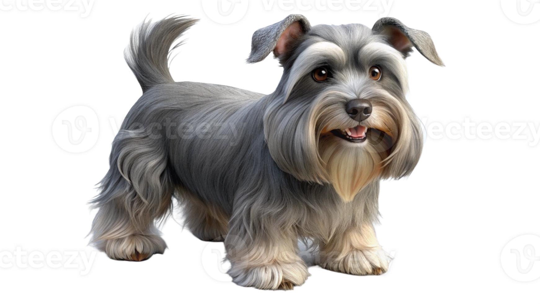 SchnauzerSpaniel 3D Dog Render Transparent Background png