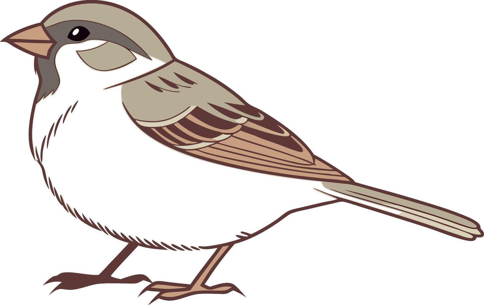 Collection of charming illustrated small birds with distinct coloring, simple lines, and rounded bodies, on white backgrounds vector