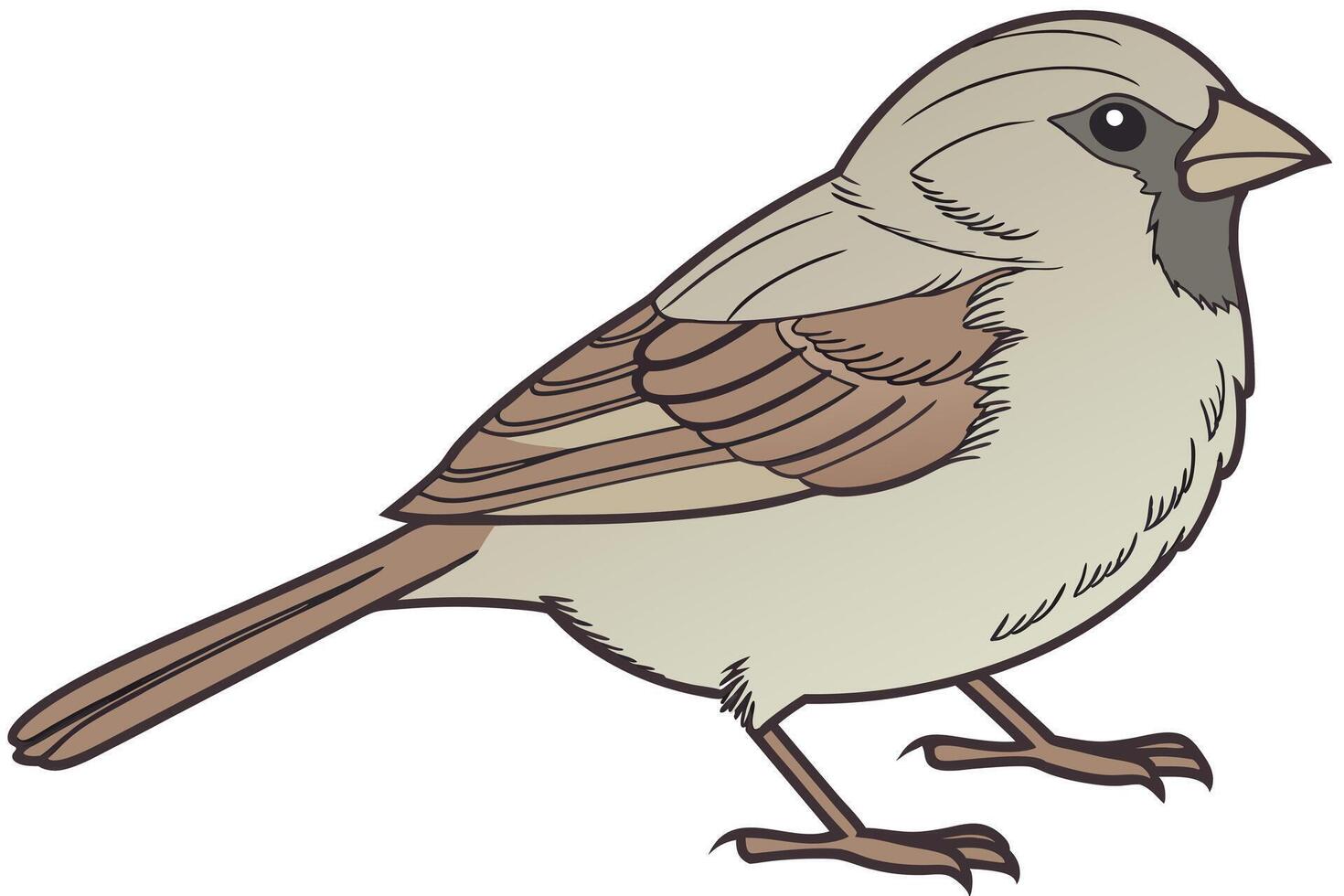 cute plump sparrows in various cartoon styles, perfect for childrens books, logos, or educational content vector