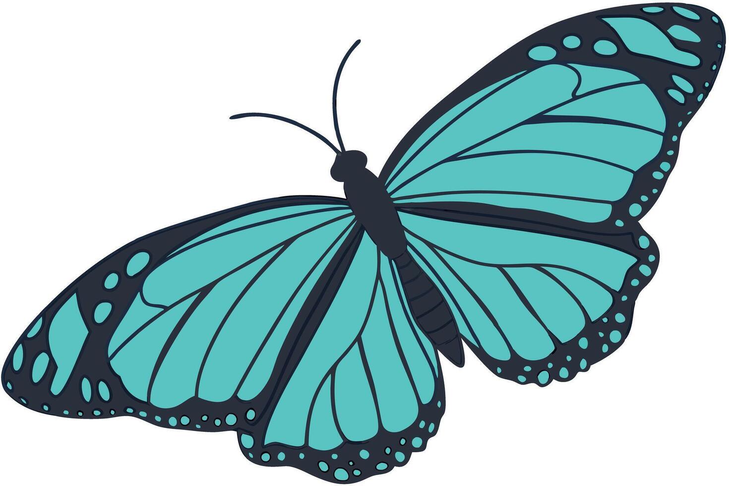 Elegant turquoise butterfly illustration with detailed wings, ideal for nature themes, educational content, and decorative designs vector
