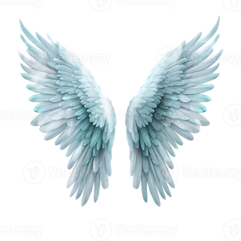 Wings of Angel Isolated on Transparent Background png