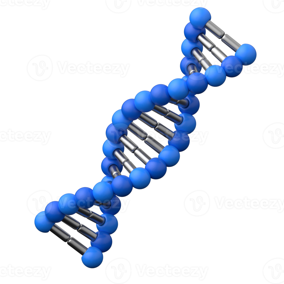 3D DNA Helix Medical Icon png