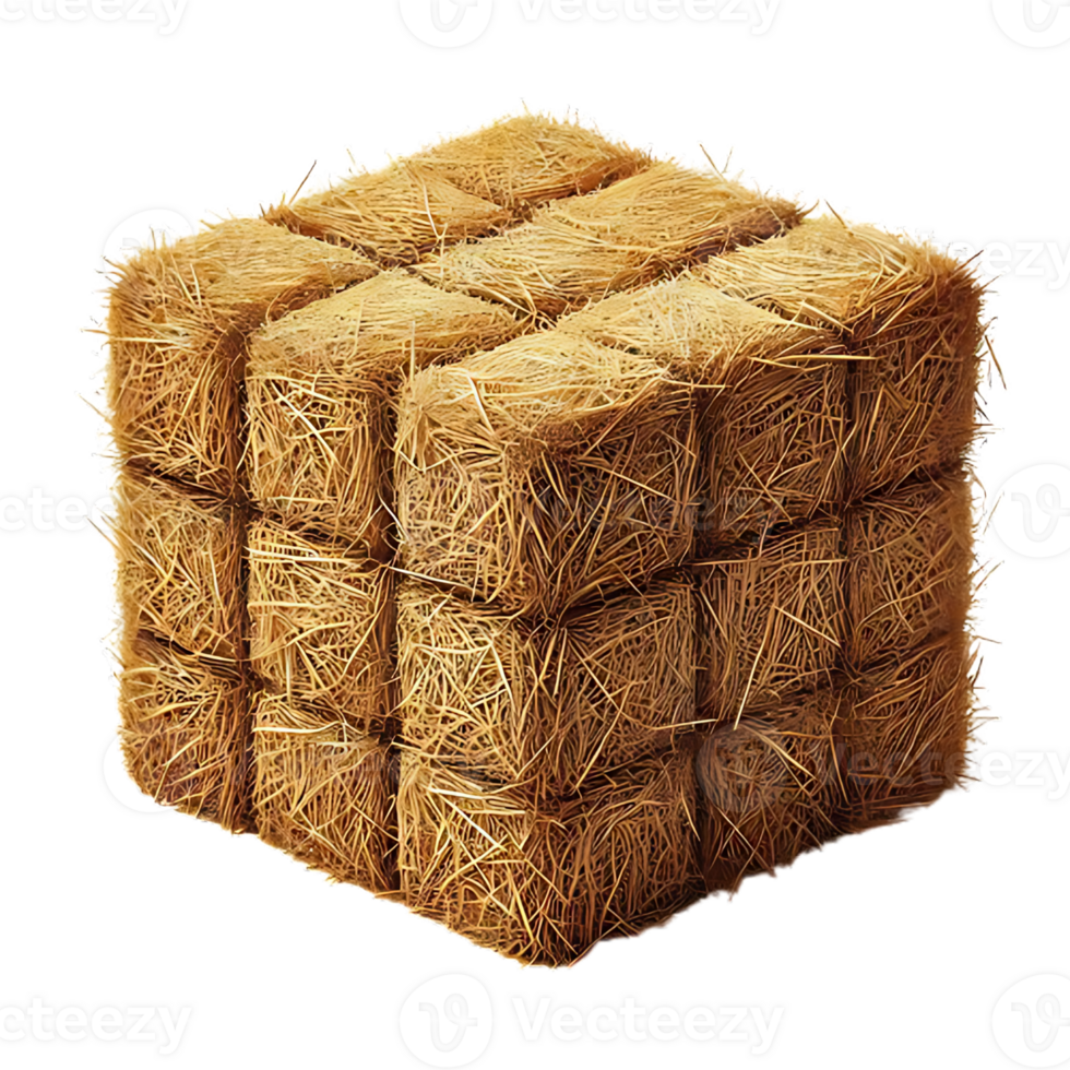 Square Hay Isolated on Transparent Background png