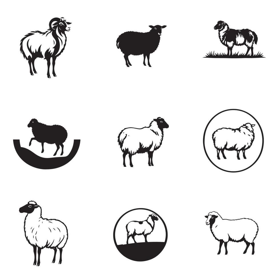 Sheep icons set illustration vector
