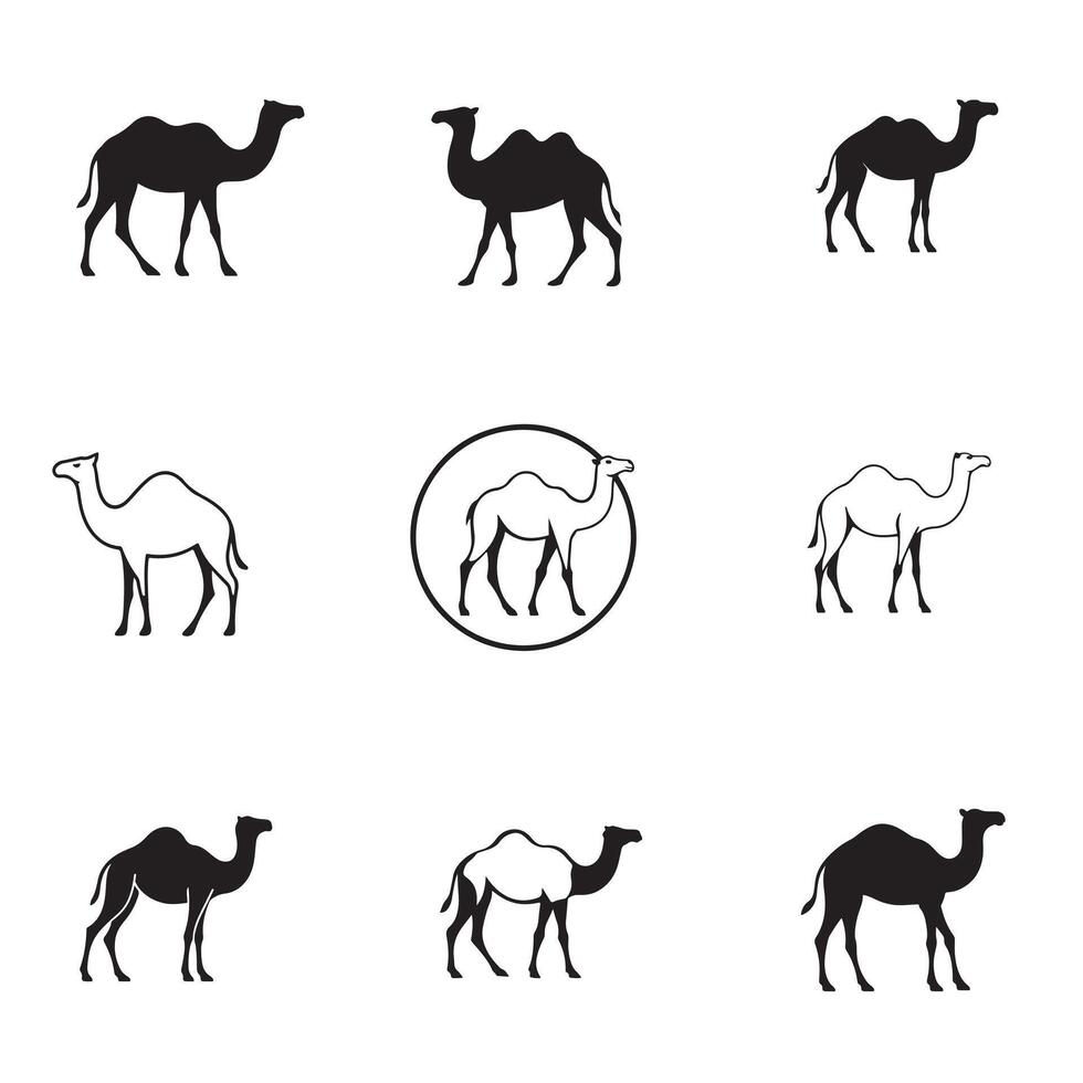 Camels in the desert set of icons vector