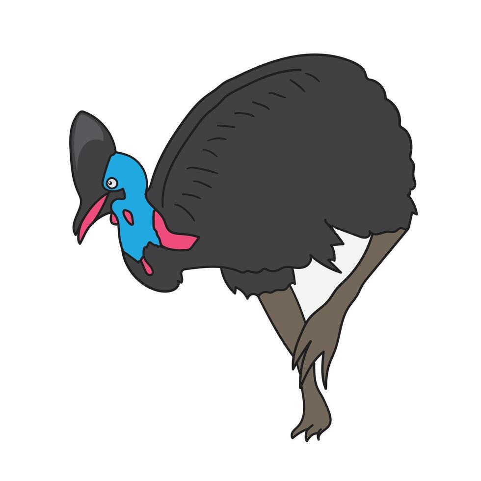 Cartoon illustration of a cassowary, a large flightless bird with blue neck and red wattle vector