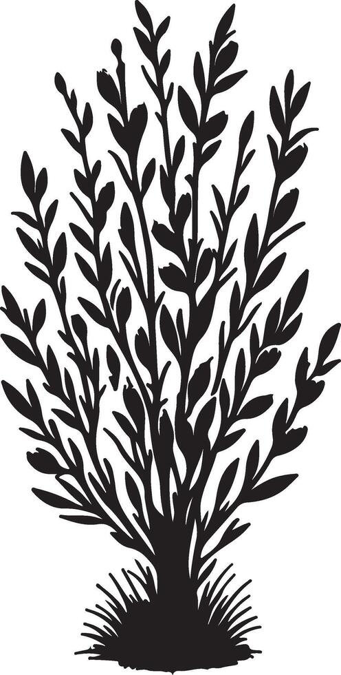 a black and white illustration of a plant with leaves vector