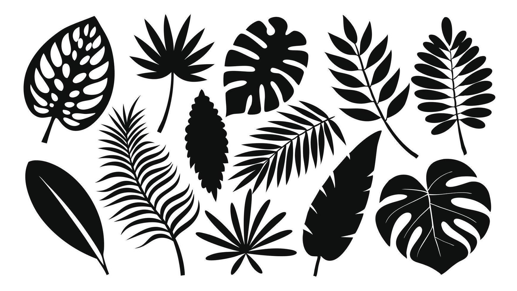 diverse tropical leaf silhouettes featuring palm foliage and botanical black outline design elements. vector