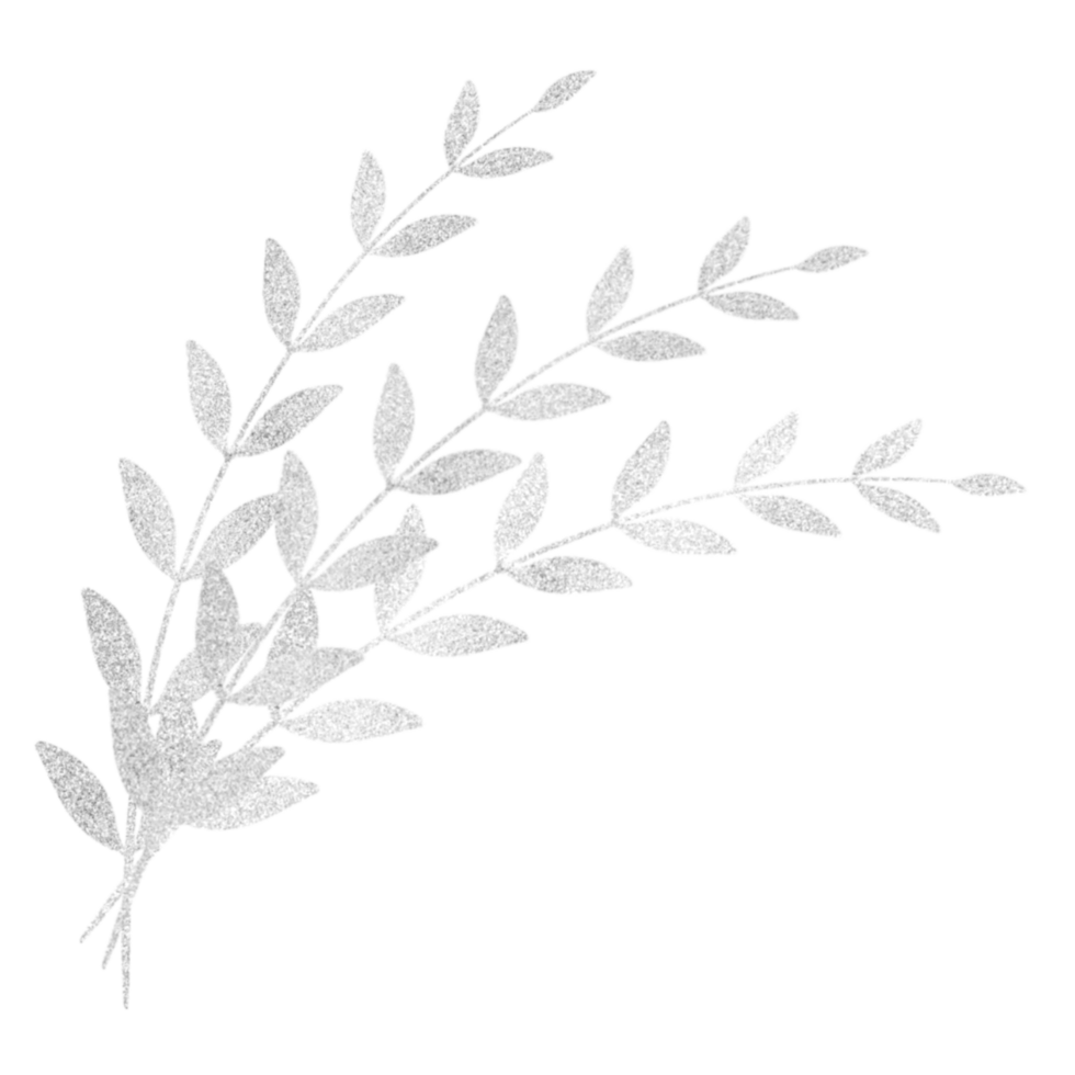 Three glittery silver branches with leaves png