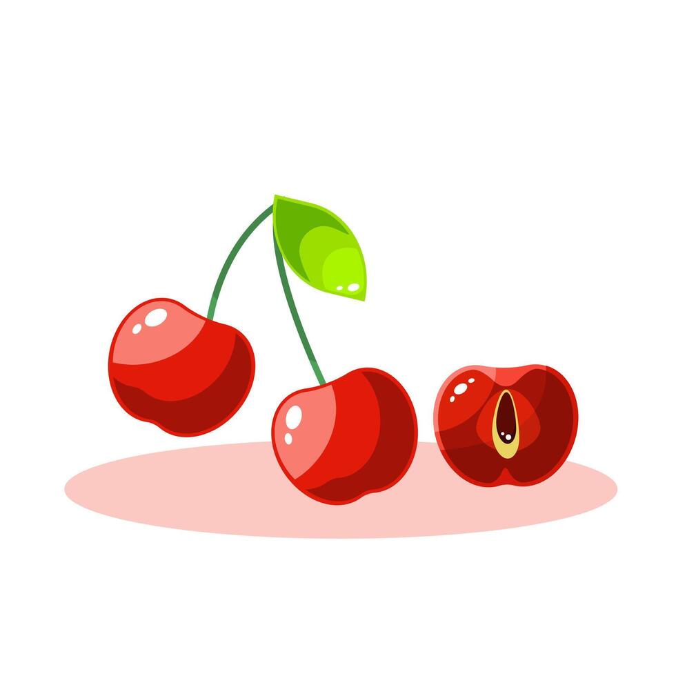 Illustration summer fruit, fresh tropical fruits, delicious summer fruits, fresh cherry vector