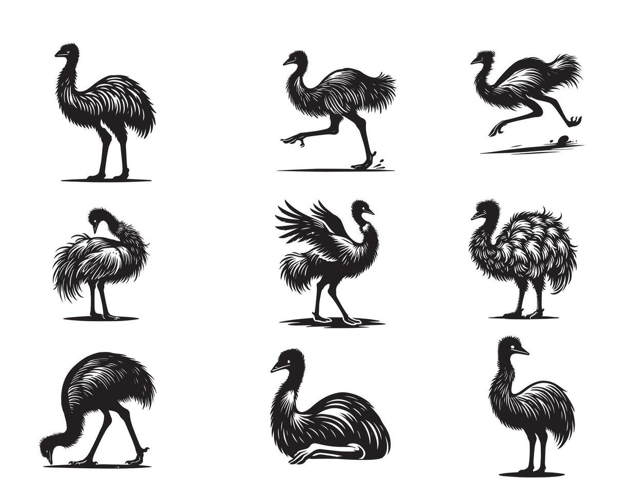 Emu Illustration Collection Silhouettes and Designs of the Emu Bird vector