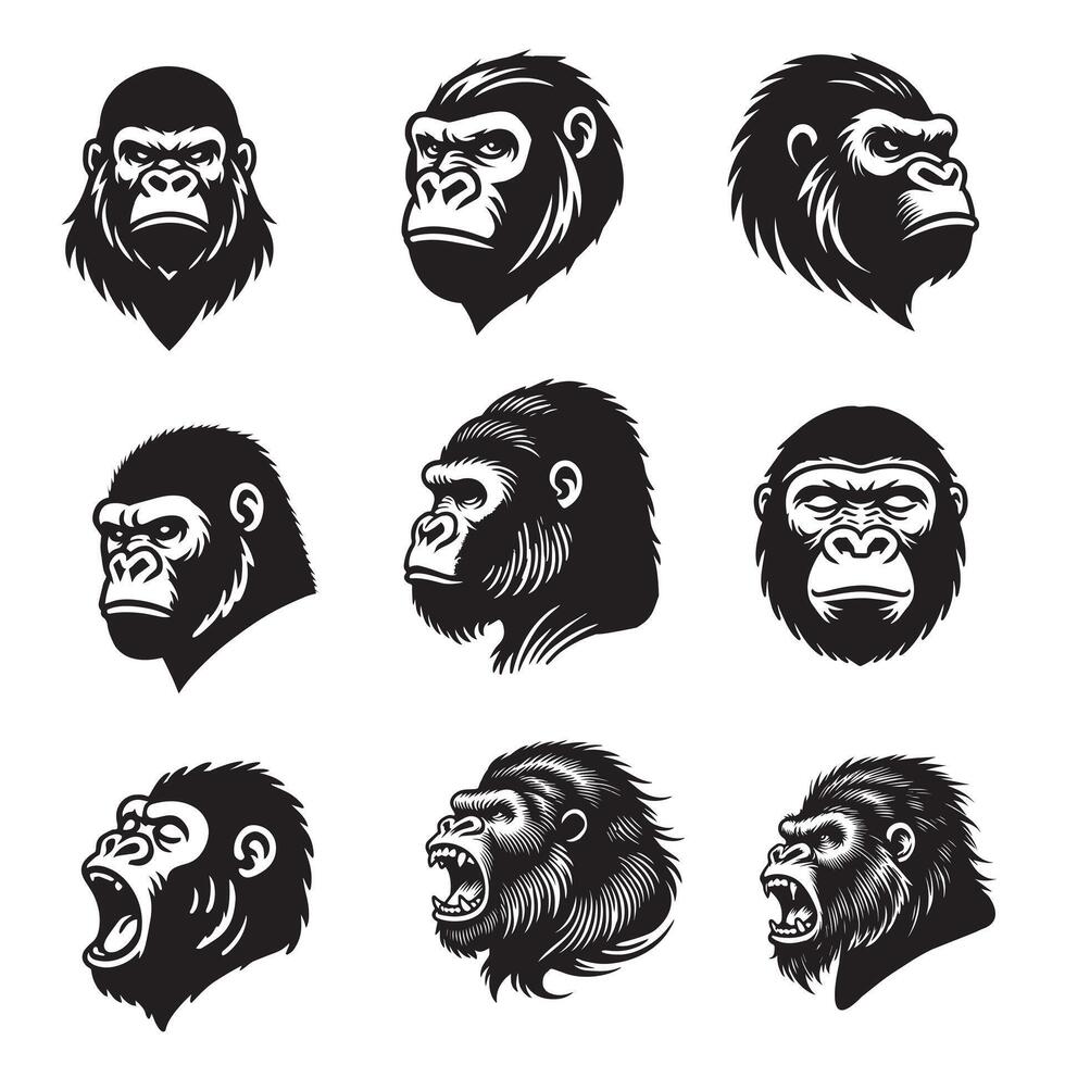 Black and White Set of Gorilla Head Silhouettes and Gorilla Face Illustration vector
