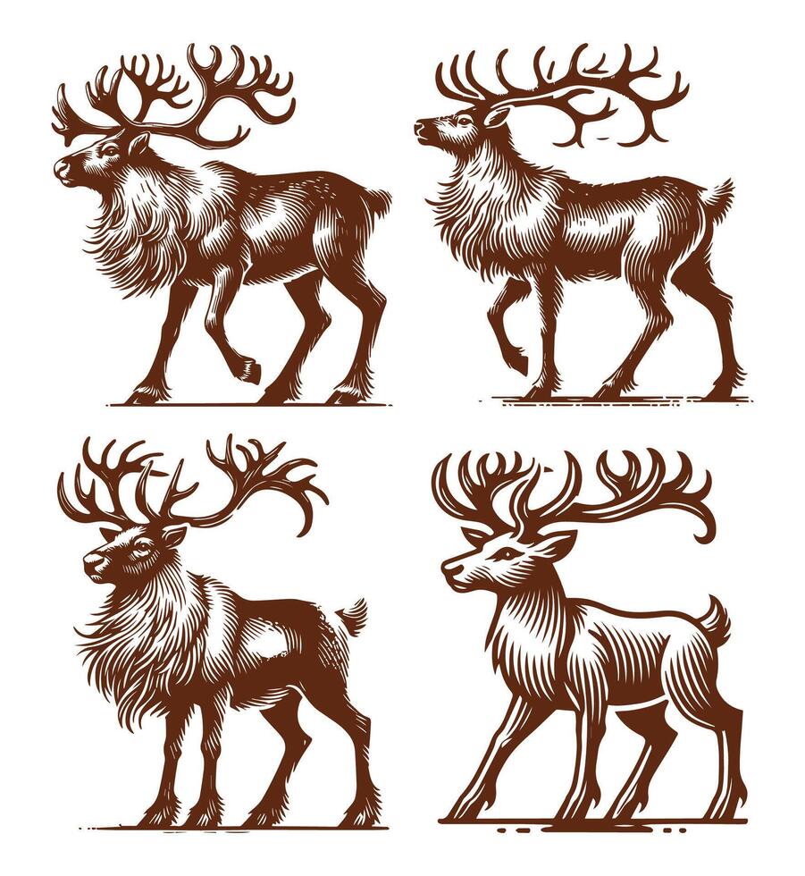 Rein Deer silhouette design set vector