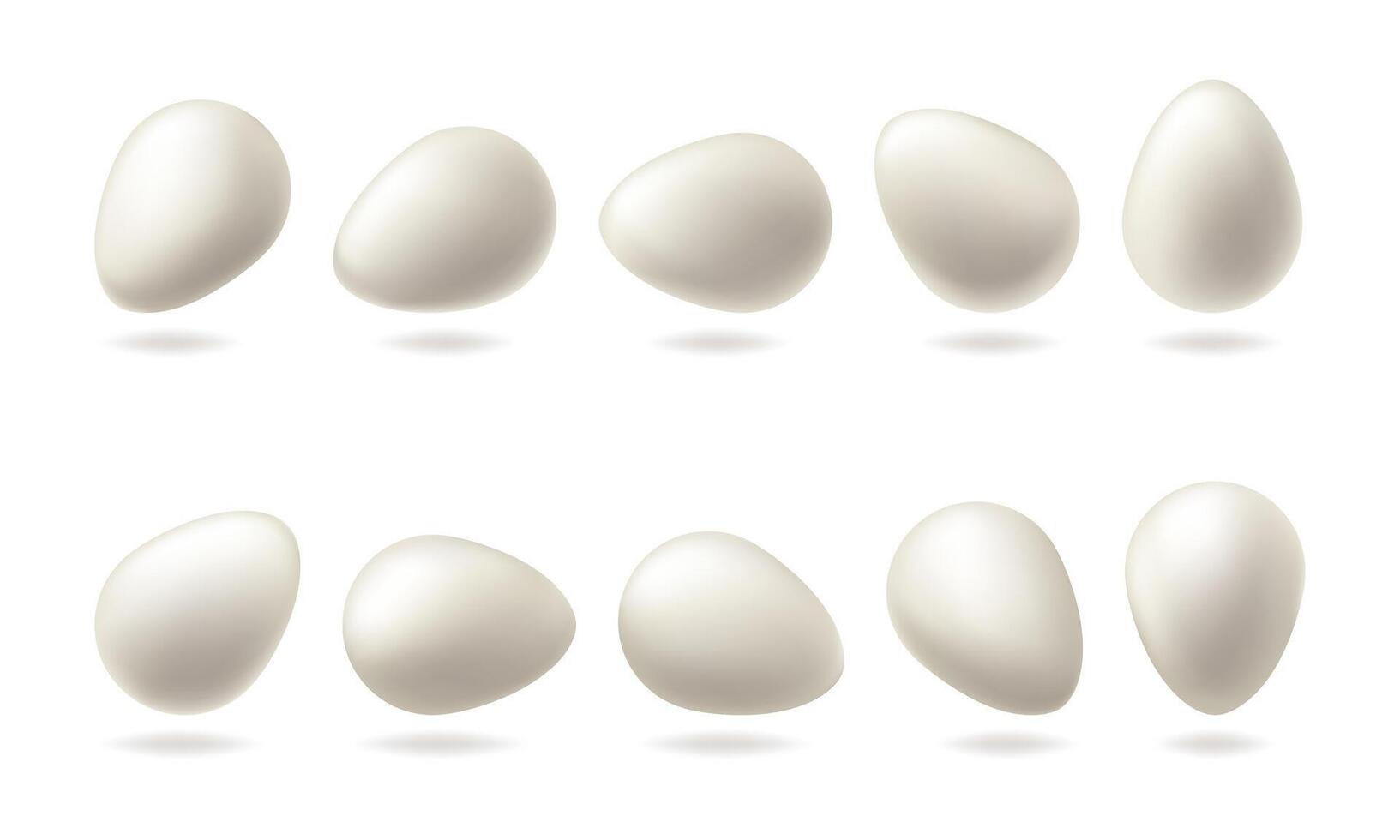 White egg set. Chicken blank render isolated. 3d food package, transparent backdrop. Organic breakfast, fresh healthy food. Realistic eggshell surface, visual ellipse oval shape. Whole albumen vector