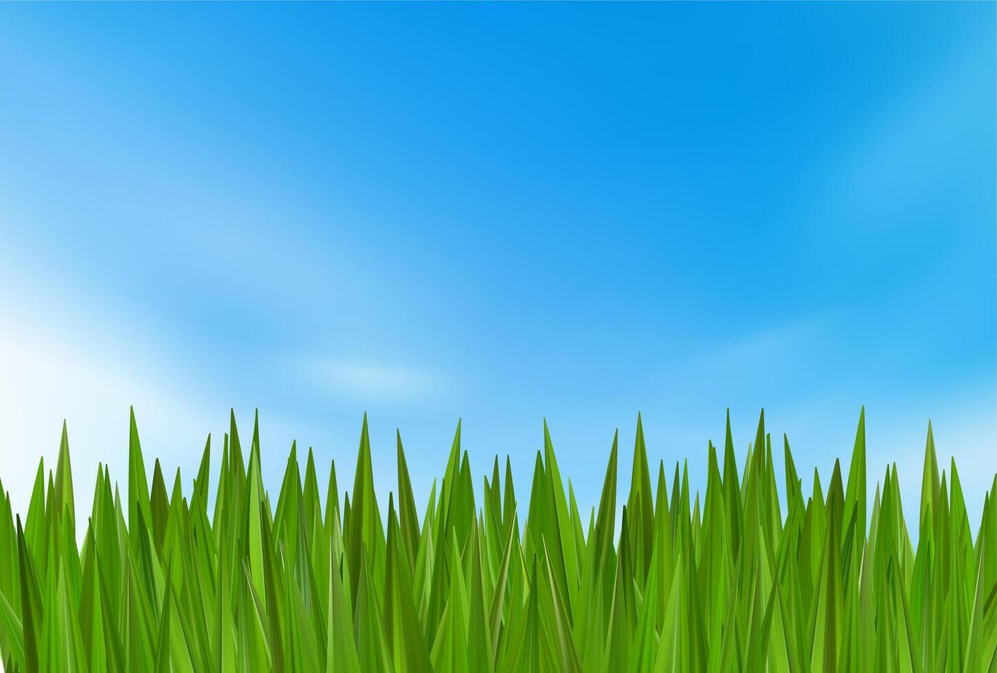 Grass green header border. Spring summer sunny landscape. Football meadow nature plant. Abstract grassland hill. Realistic light cloudy blue sky, 3d field park sunrise. Turf reed bush, eco farm vector