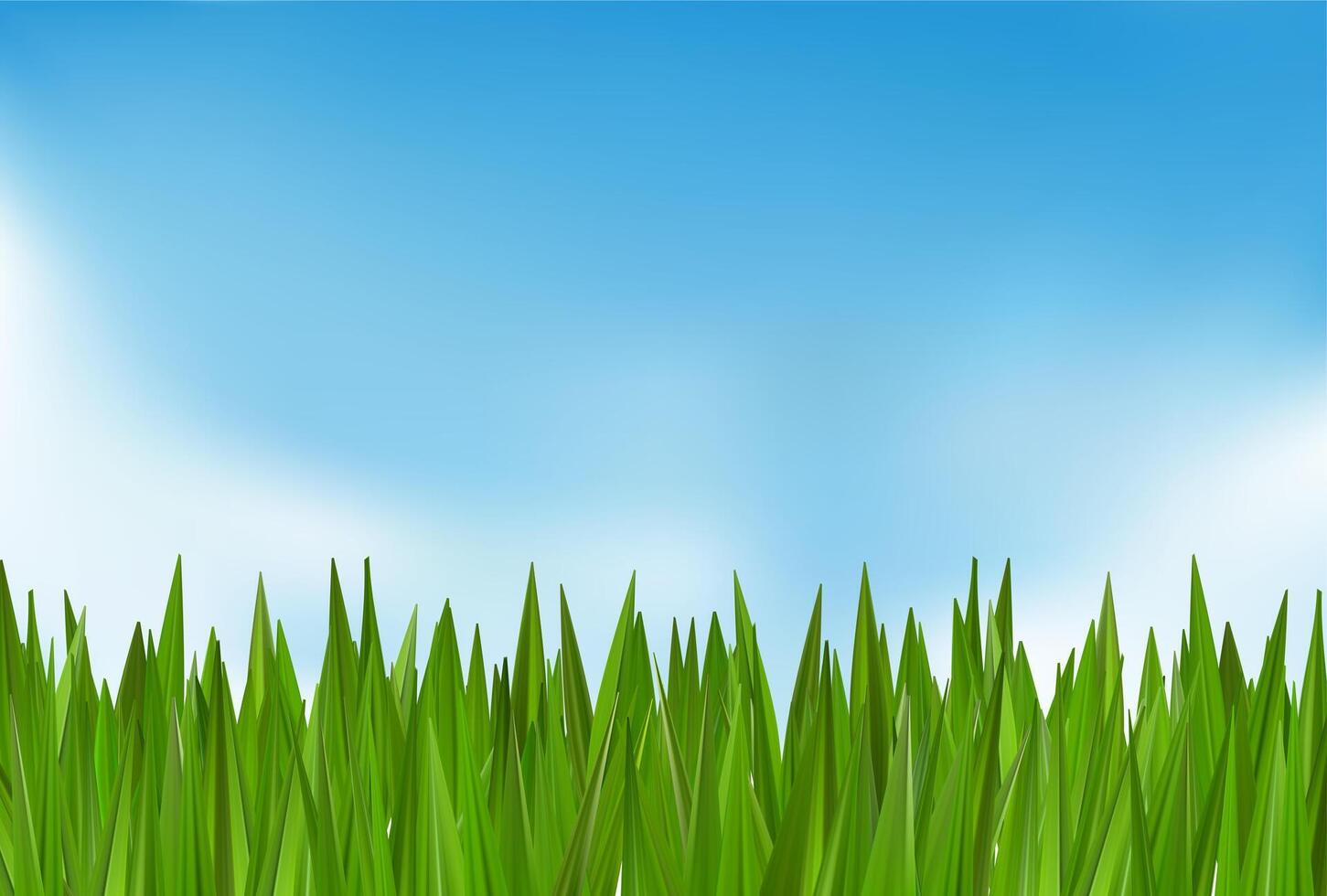Green grass tuft bush on cloudy sky sunrise. 3d header texture. Blue Easter border. football field park, turf hill layout. Spring reed lawn landscape with sunny transparent fresh air vector