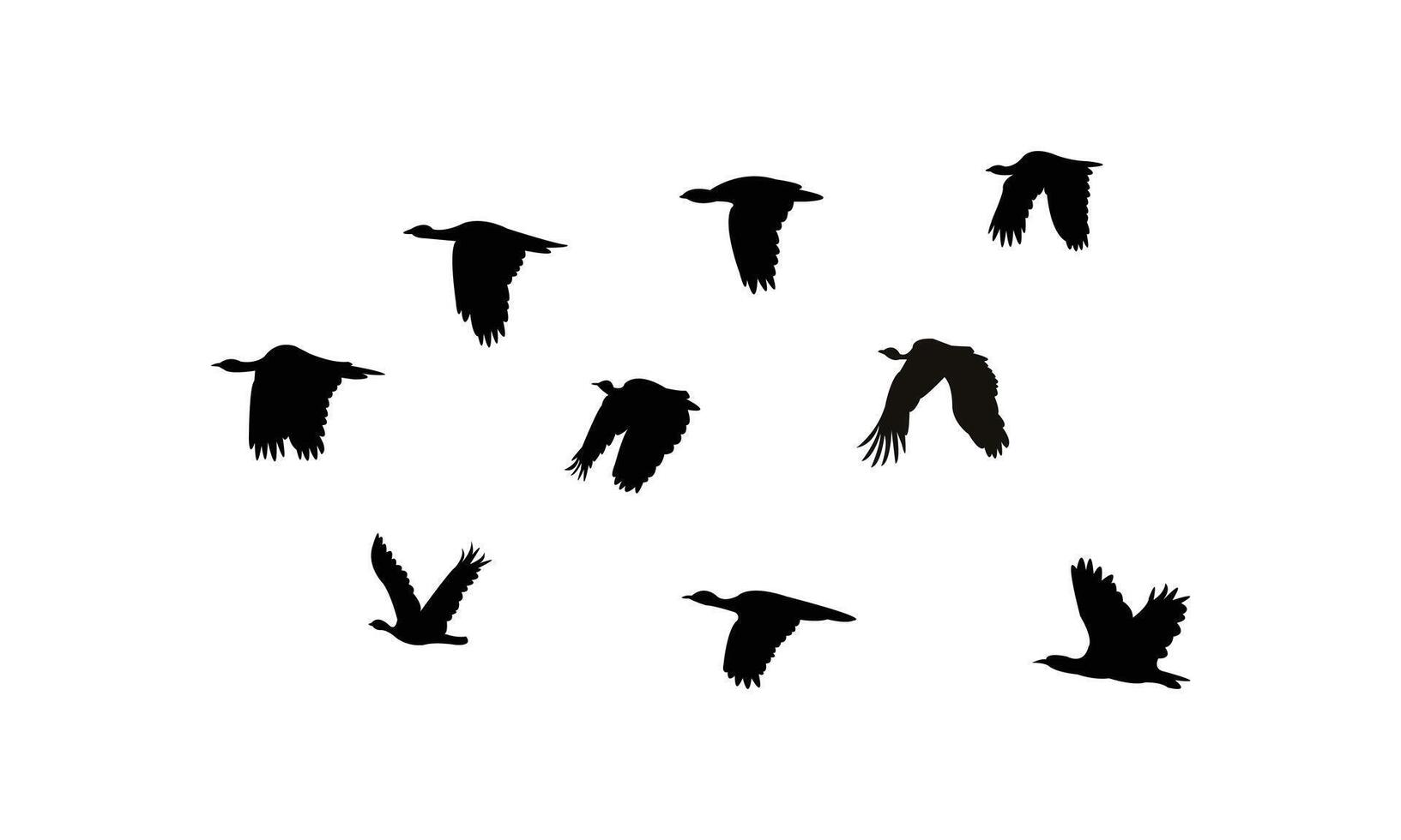 Flying African houbara bird Silhouette Collection vector