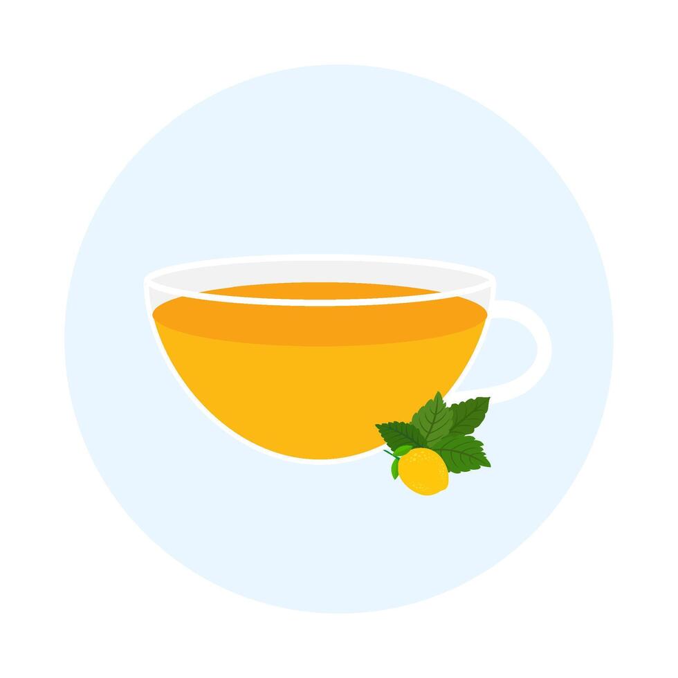 Refreshing Lemon Herbal Tea in Transparent Glass with Fresh Mint Leaves vector