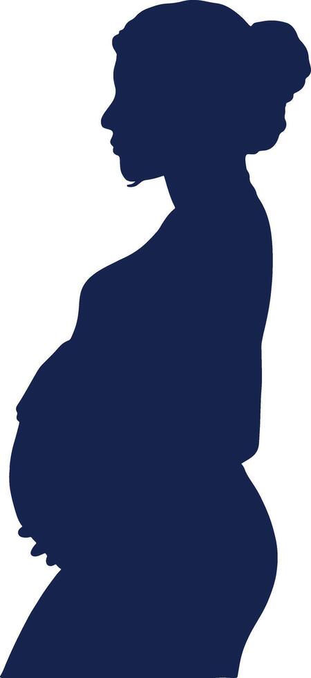 Pregnant Women Silhouette Isolated on White Background. vector