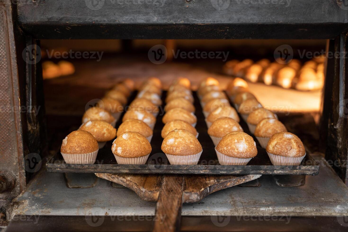 A tray of muffins being baked in an oven photo