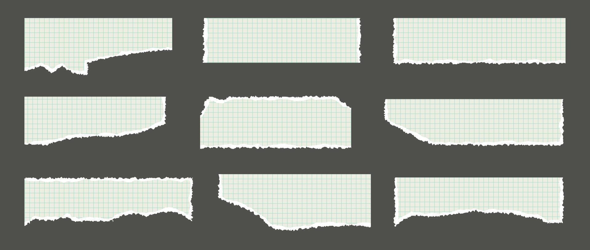 A kit of pieces of torn chequered paper from a maths notebook. Uneven torn edges. Templates of strips for collages. vector