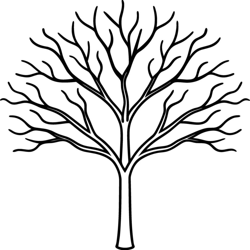 Elegant Bare Tree Line Drawing - Autumn and Fall Season Illustration vector