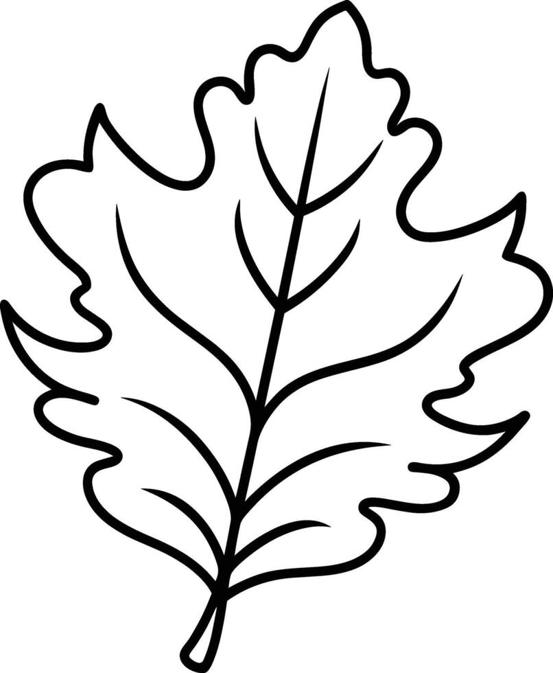 Hand-Drawn Oak Leaf Outline - Minimalist Botanical Line Art vector