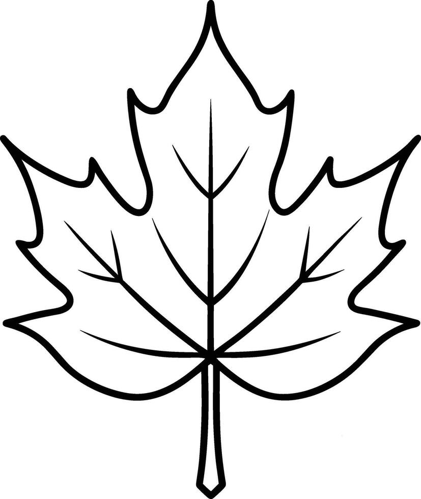 Maple Leaf Outline - Elegant Black Line Art vector