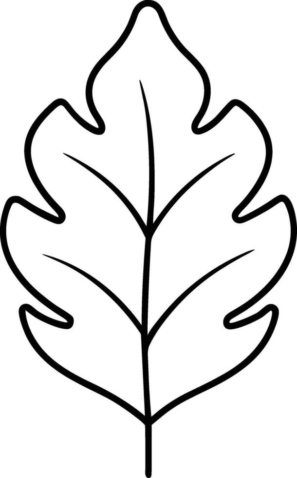 Oak Leaf Outline - Minimalist Botanical Line Art vector