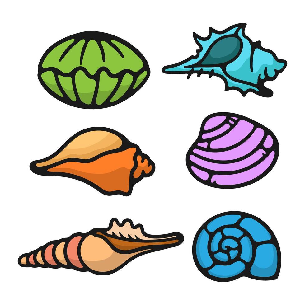 Illustration seashell collection good for drawing book vector