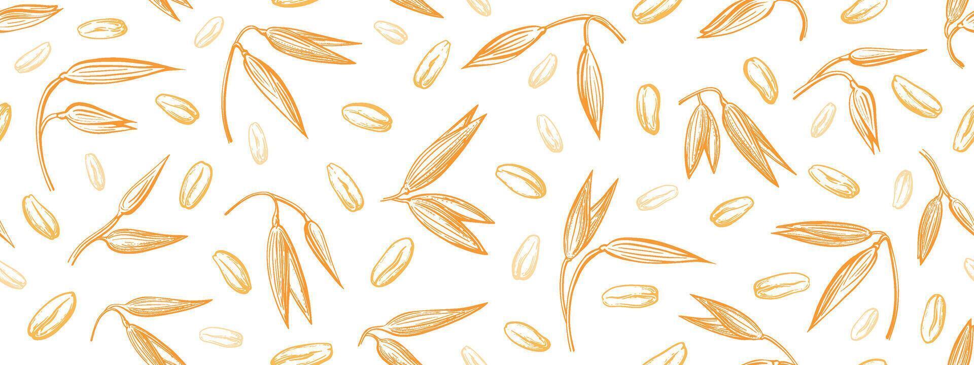Oat spike, seed endless background. pattern vector