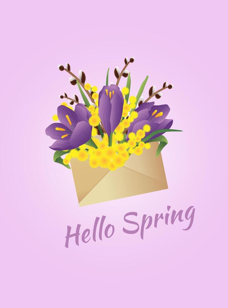 Hello spring. Spring flowers, crocus, mimosa, willow branch in envelope. Design for banners, postcards, flyers, posters. vector