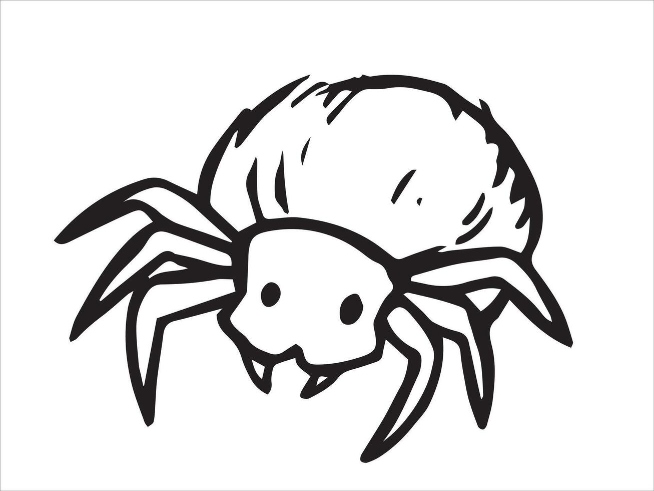 Spider. Sketch style illustration. vector