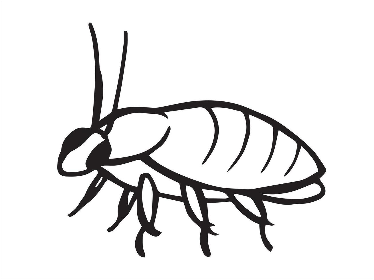 insect cockroach. sketch style illustration. vector