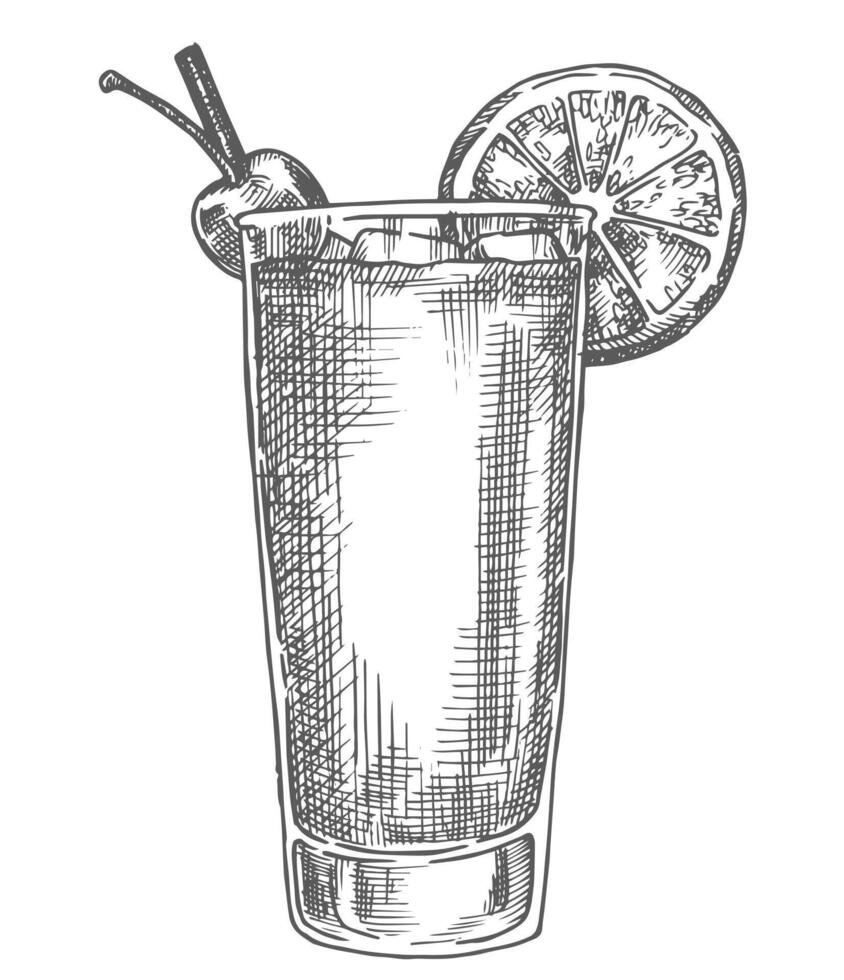 tequila sunrise cocktail, illustration in sketch style. vector
