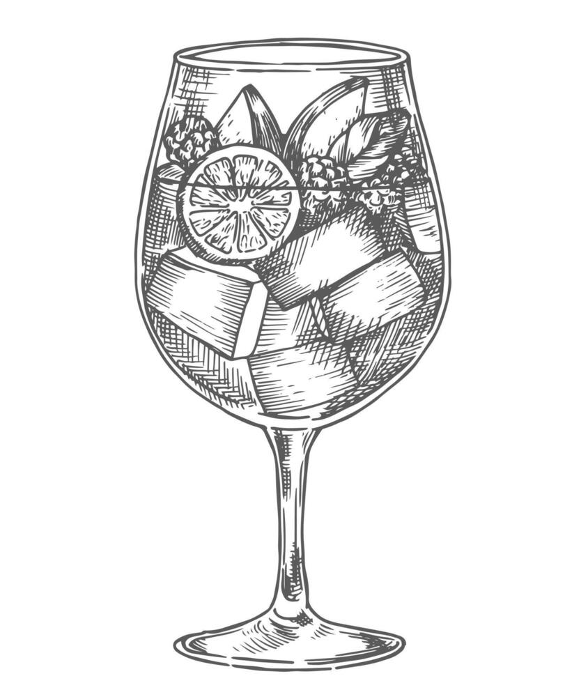 sangria cocktail, illustration in sketch style. vector